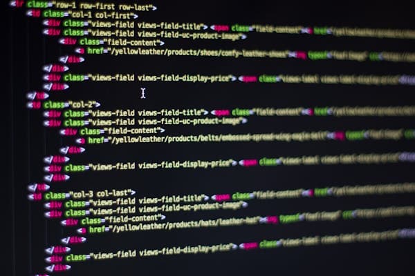 E-commerce Software Development: Features Businesses Need